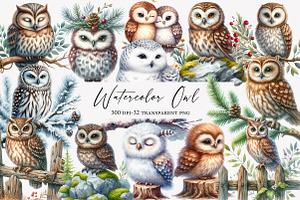 Watercolor Owl Clipart, an Illustration by Designworld