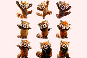 Red Panda PNG Clipart Bundle, a Graphic by M9 Design (Thumbnail 6 of 10)