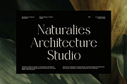 Cingire Elegant Serif Font, a Serif Font by Graphicxell (Thumbnail 3 of 8)