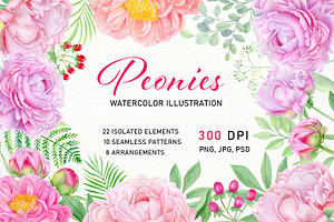 Watercolor pink peony illustrations
