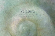Sfumato Organic Textured Backgrounds, a Background Graphic by alonahaidash (Thumbnail 11 of 15)