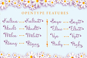 Aliqa a lovely font, a Script Font by Javatype Studio (Thumbnail 9 of 11)