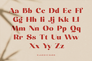 Carneys Gallery Font Duo, a Sans Serif Font by Letteralle Studios (Thumbnail 14 of 16)