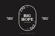 Waldorf Astoria Modern Vintage Font, a Serif Font by Pen Culture (Thumbnail 7 of 11)