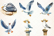Summer Seagulls Clipart PNG, an Illustration by Libby Wishes (Thumbnail 2 of 4)