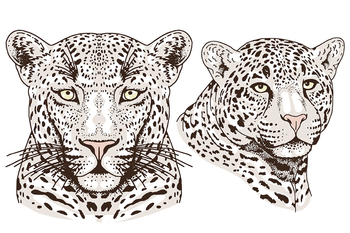 White LEOPARD, an Animal Illustration by Tanya Akhmett (Photo 5 of 6)