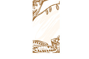 Hand-drawn cacao branch and beans