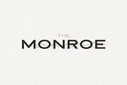 Modena | Duo with 6 Free Logos, a Sans Serif Font by Jen Wagner Co (Thumbnail 17 of 22)