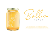 Ralline - Modern Script Font, a Script Font by Pen Culture (Thumbnail 7 of 10)