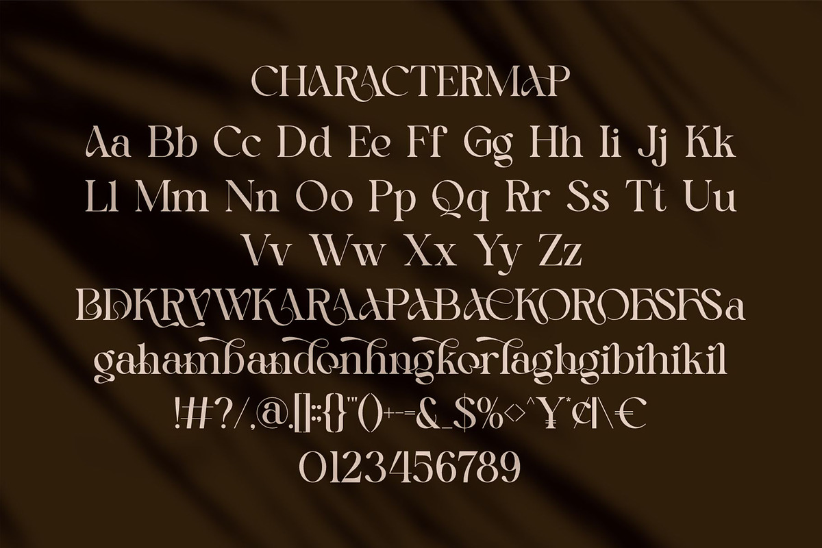 Brokes || Modern Minimalist Serif Fo, a Serif Font by Ermedia Studio (Photo 10 of 10)