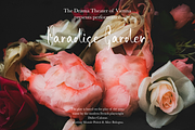 Rochen, a Handwritten Font by Larin Type Co. (Thumbnail 2 of 10)