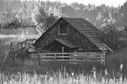 10 Matte B & W Landscape Drama, a Preset Add-On by Timeless Presets (Thumbnail 8 of 17)