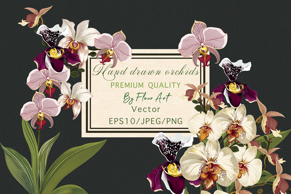 Hand drawn vector orchids, a Decorative Illustration by FleurArt (Photo 1 of 11)