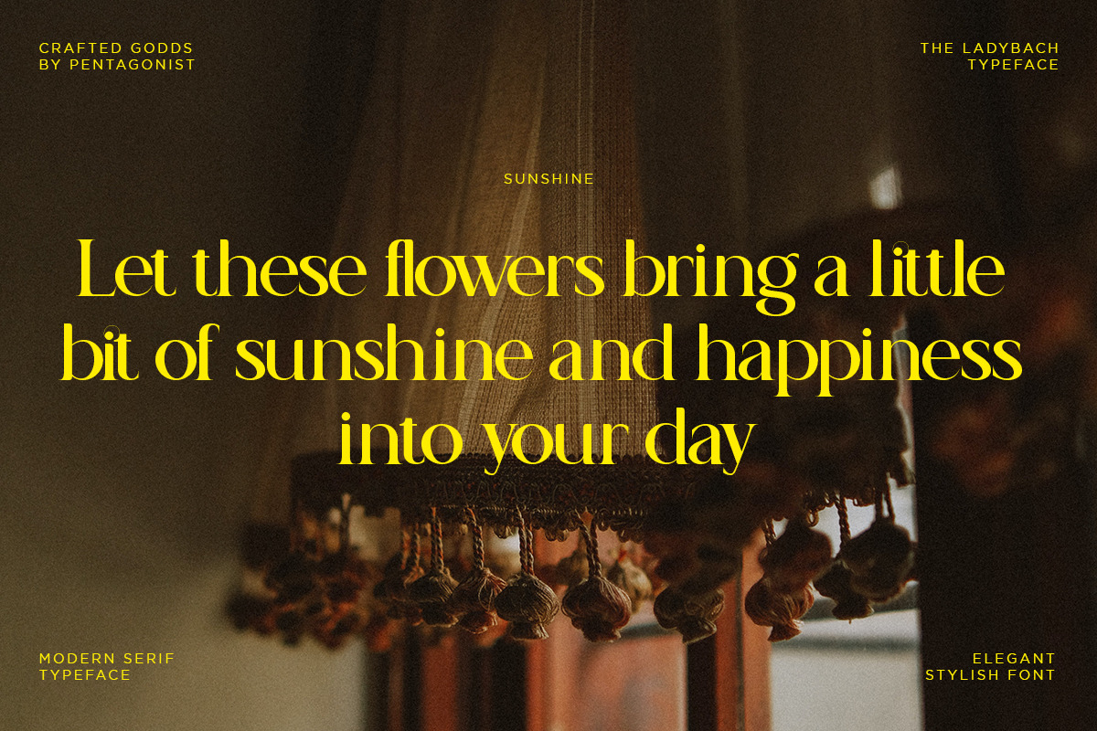 The Ladybach | Elegant Serif, a Serif Font by Pentagonistudio (Photo 8 of 10)
