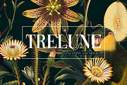 Trelune – Moonlit Luxury Prints, a Pattern Graphic by YARROO (Thumbnail 1 of 10)