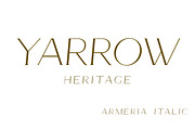 Armeria - serif font, a Serif Font by Art pages (Thumbnail 8 of 8)