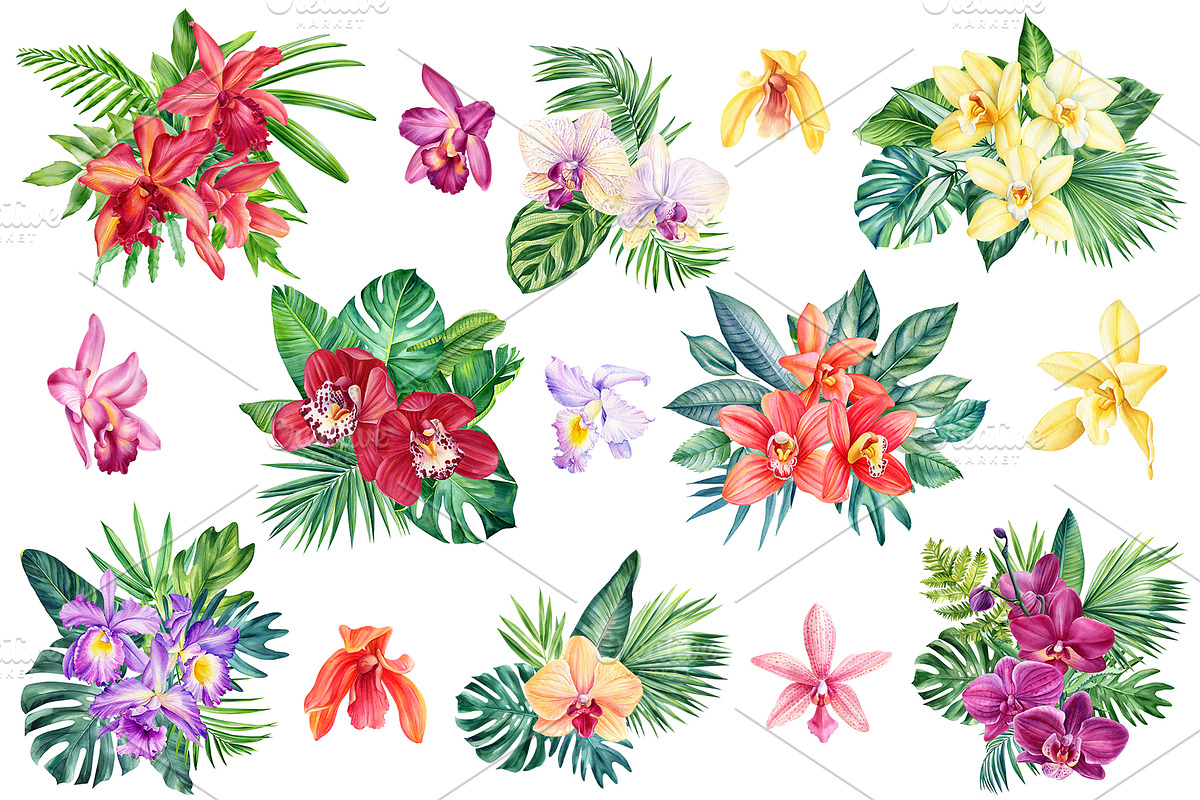 Orchid flowers watercolor, a Decorative Illustration by Hanna Hryharenka (Photo 8 of 9)