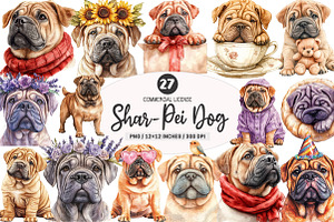 Shar-Pei Dog Watercolor Clipart, an Illustration by SinaCreation