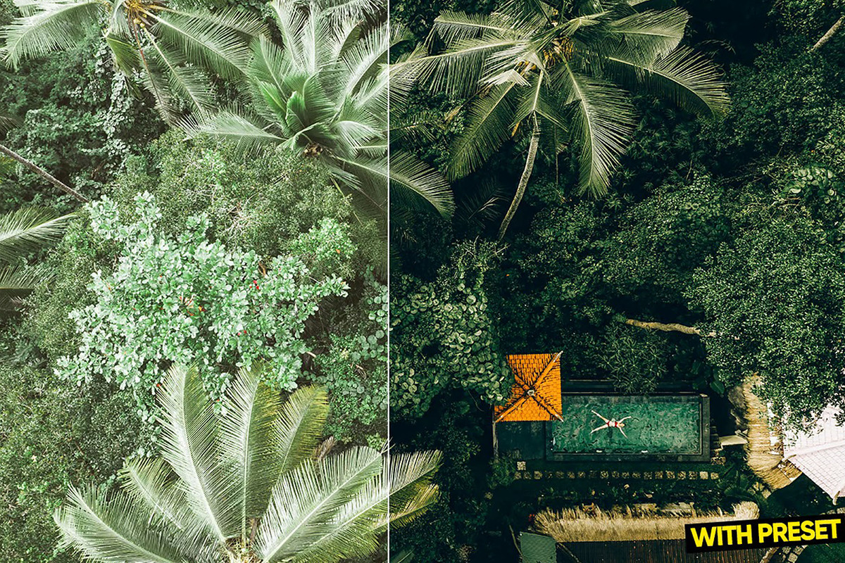 Bali Green Presets for Lightroom, a Preset Add-On by Hubzway (Photo 4 of 5)