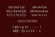 Hakuna – Elegant Serif Font, a Serif Font by Pen Culture (Thumbnail 7 of 9)