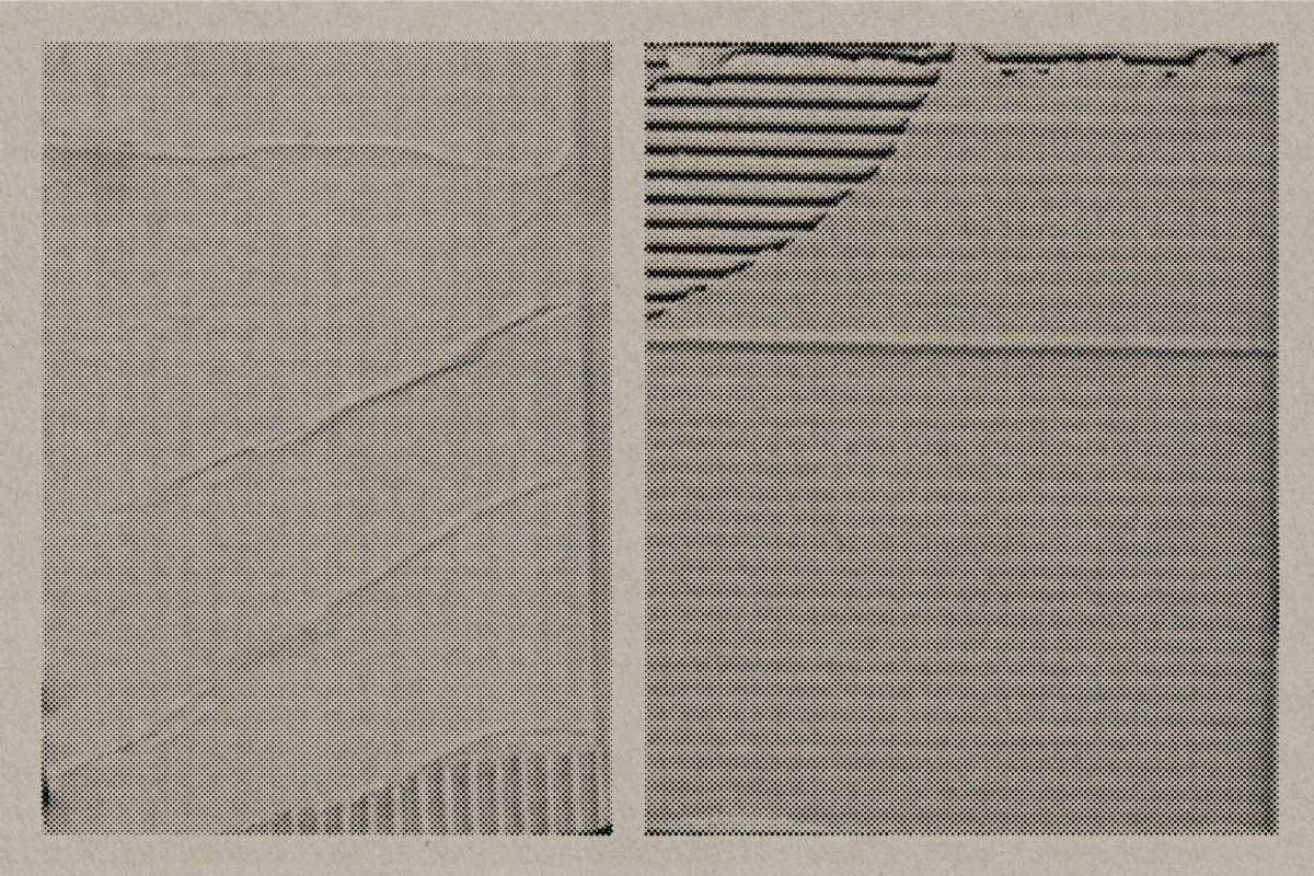 Halftone Paper & Card Vectors, a Texture Graphic by Offset (Photo 3 of 16)