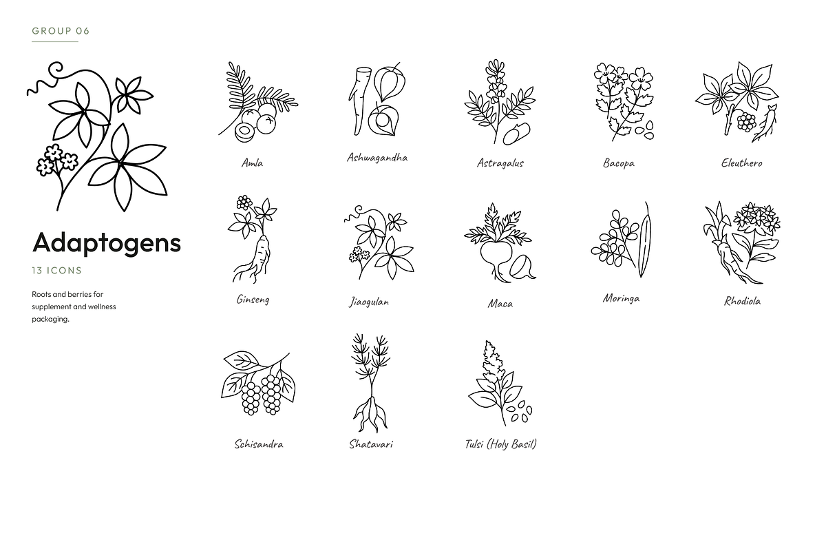 180 Botanical Ingredient Line Icons, an Outline Icon by Ilia Design (Photo 9 of 13)