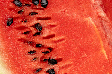 watermelon with pits, part of a sliced juicy watermelon with black seeds, close, a Photo by MyPhotos