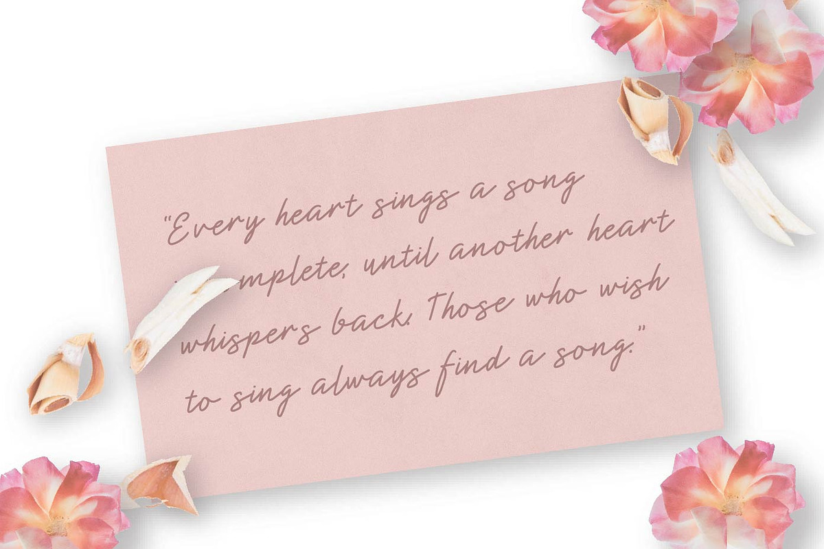 Shearlight - Monoline Script, a Script Font by Patria Ari (P4tcreativa) (Photo 2 of 9)
