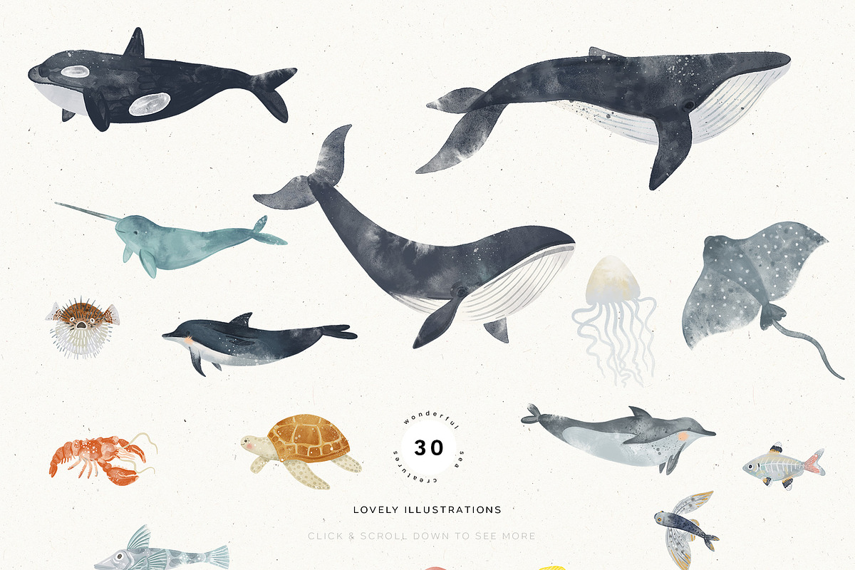 Watercolor Sea collection, an Animal Illustration by annartdreams (Photo 9 of 13)