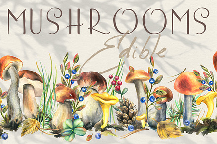 Mushrooms edible forest watercolor