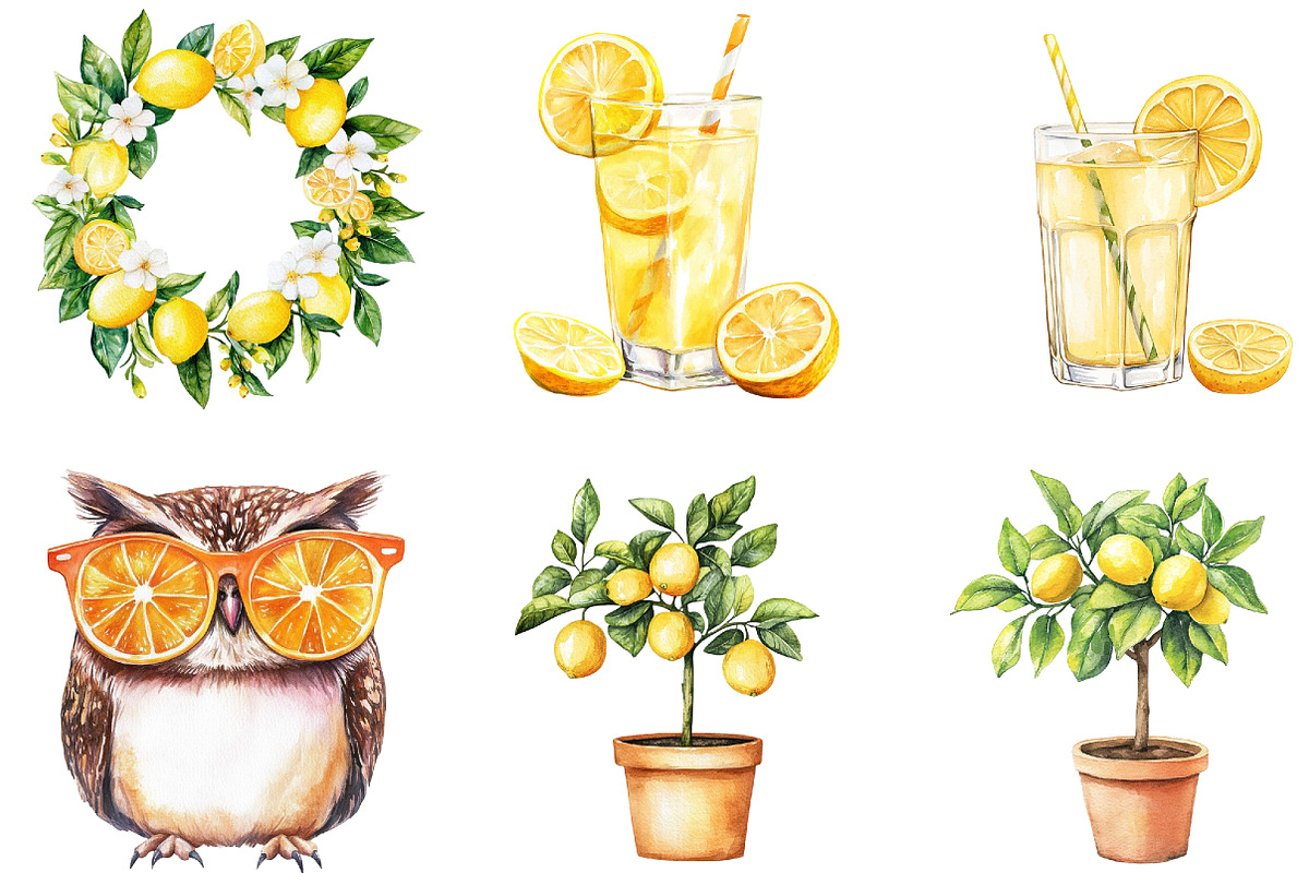 Citrus Fruit Clipart, an Illustration by designcity5 (Photo 5 of 5)