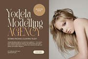 Salmon Elegant Serif Font, a Serif Font by Perfectype (Thumbnail 4 of 8)