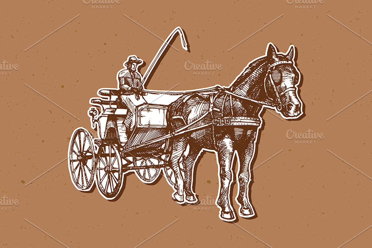 Vector illustration of open carriage, an Animal Illustration by CatMadePattern (Photo 3 of 3)