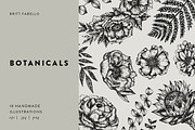 Hand-Illustrated Botanicals Vectors, an Illustration by Britt Fabello (Thumbnail 1 of 5)