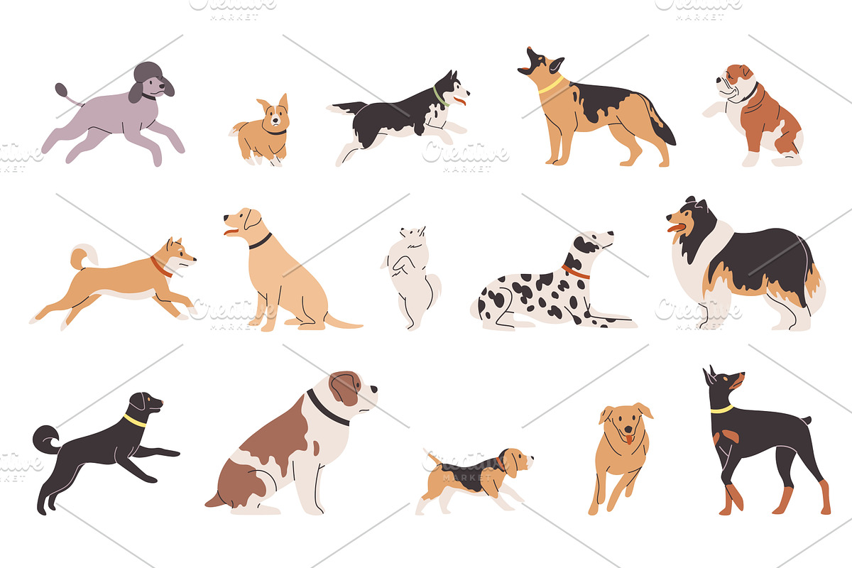 Set dogs different breeds. Happy, an Animal Illustration by YummyBuum