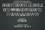 Hamburger, a Serif Font by FreshTypeINK (Thumbnail 6 of 8)
