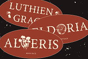Road Race Extra Rough, a Serif Font by Craft Supply Co. (Thumbnail 5 of 8)