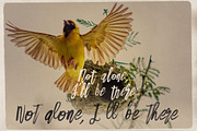 Danica Tribute Brush & SVG Font, a Script Font by Cruzine (Thumbnail 2 of 14)