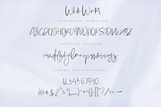 White Winter, a Script Font by Chocotype Std (Thumbnail 12 of 15)