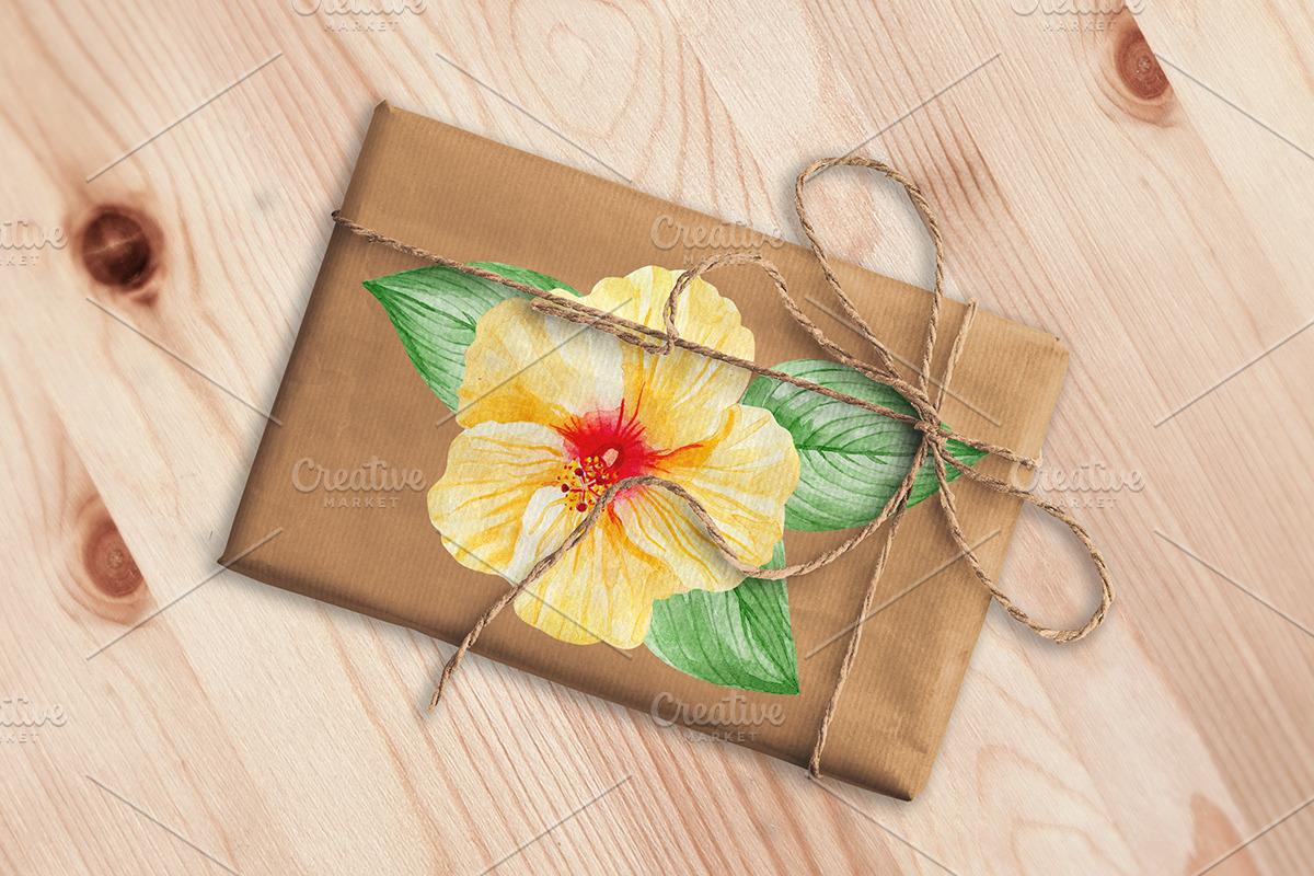 Watercolor tropical elements, an Animal Illustration by AV Design (Photo 9 of 12)