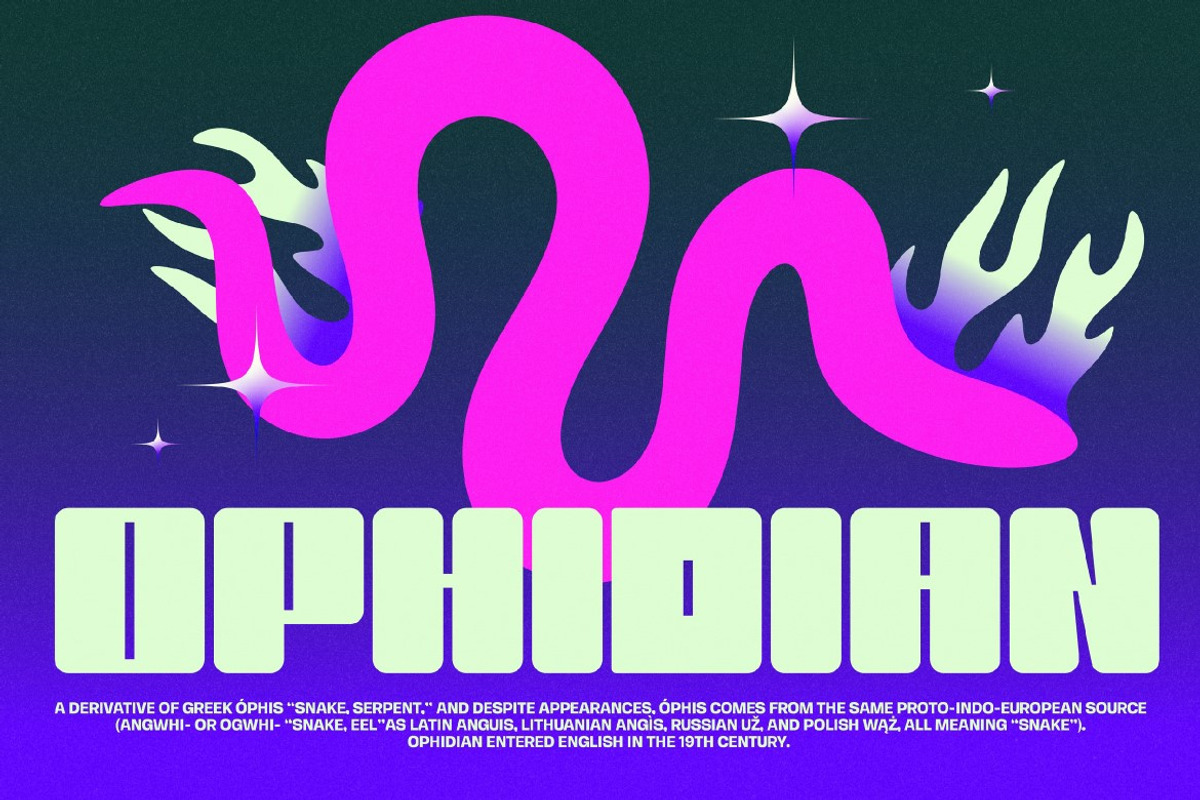 Hescadis, a Sans Serif Font by graphicook (Photo 8 of 10)