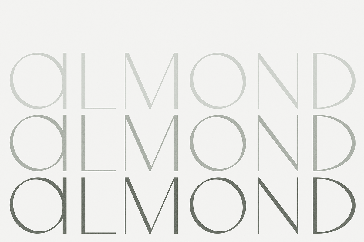 Almond | Sans Serif Font, a Sans Serif Font by rose & co. creative (Photo 11 of 17)
