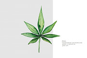 Watercolor Marijuana Leaf, an Object Graphic by Jeanina Vlad (Thumbnail 2 of 2)