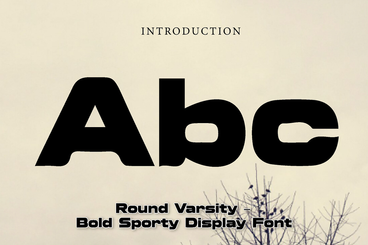 Round Varsity, a Slab Serif Font by Wow Magic (Photo 2 of 3)
