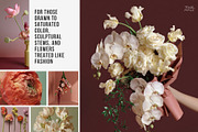 Bloom Atelier | 345 stock images, a Nature Photo by Tale.Haus (Thumbnail 3 of 20)