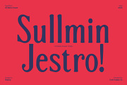 CS Meira Drawn, a Serif Font by Craft Supply Co. (Thumbnail 5 of 8)