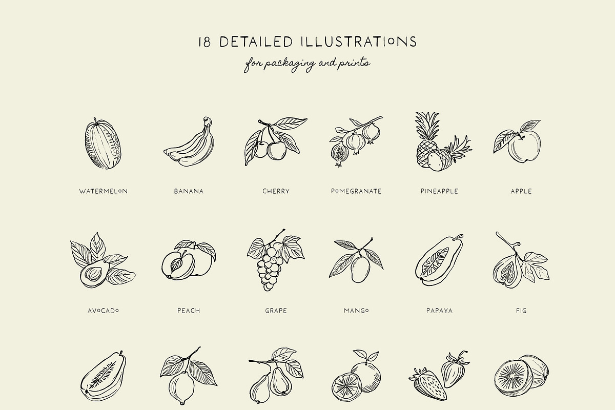 FRUITS line art illustrations, a Food Illustration by Crocus Paperi (Photo 4 of 5)