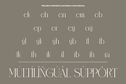 Wiglora Modern Ligature Serif, a Serif Font by Alfinart (Thumbnail 10 of 10)