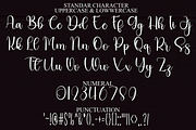 Birthday Gift, a Handwritten Font by FreshTypeINK (Thumbnail 6 of 8)