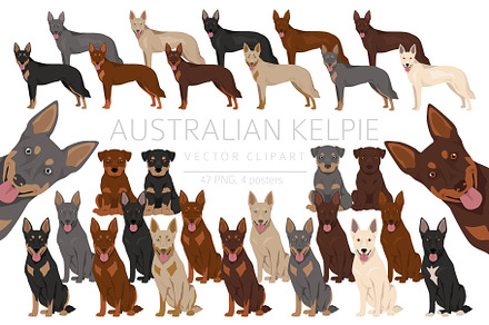Australian Kelpie clipart, an Illustration by pet design shop